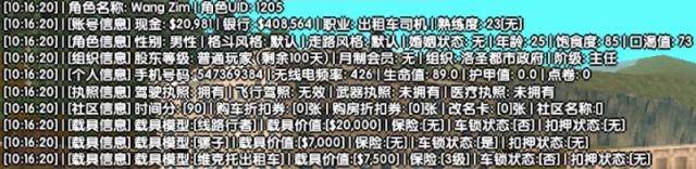 游戏等级截图